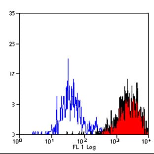 anti-CD34 Molecule (CD34) antibody avatar