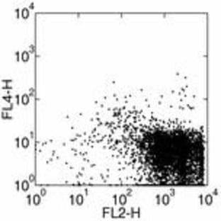 anti-CD34 Molecule (CD34) antibody (Biotin) avatar