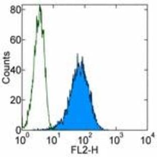 anti-CD34 Molecule (CD34) antibody avatar