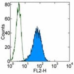 anti-CD34 Molecule (CD34) antibody avatar