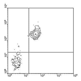 anti-CD38 antibody (RPE) avatar