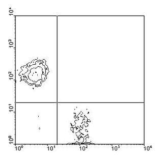 anti-CD3e Molecule, epsilon (CD3-TCR Complex) (CD3E) antibody (SPRD) avatar