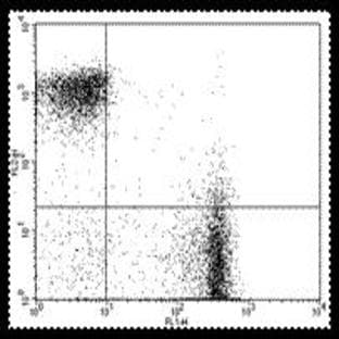 anti-CD3e Molecule, epsilon (CD3-TCR Complex) (CD3E) antibody (Biotin) avatar