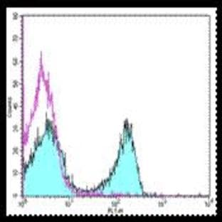 anti-CD3e Molecule, epsilon (CD3-TCR Complex) (CD3E) antibody avatar