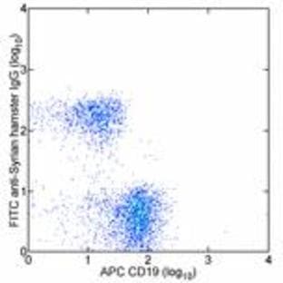 anti-CD3e Molecule, epsilon (CD3-TCR Complex) (CD3E) antibody avatar