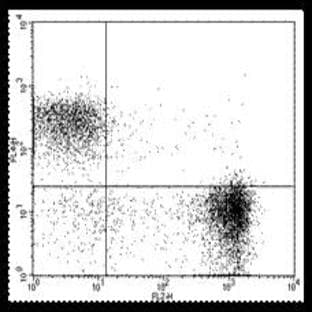 anti-CD3e Molecule, epsilon (CD3-TCR Complex) (CD3E) antibody (APC) avatar
