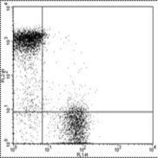 anti-CD3e Molecule, epsilon (CD3-TCR Complex) (CD3E) antibody (FITC) avatar