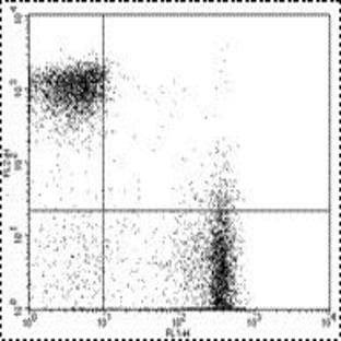anti-CD3e Molecule, epsilon (CD3-TCR Complex) (CD3E) antibody (Biotin) avatar