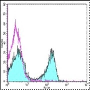 anti-CD3e Molecule, epsilon (CD3-TCR Complex) (CD3E) antibody avatar