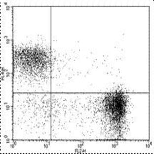 anti-CD3e Molecule, epsilon (CD3-TCR Complex) (CD3E) antibody (APC) avatar