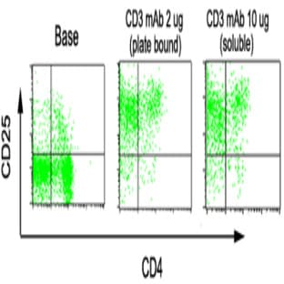 anti-CD3e Molecule, epsilon (CD3-TCR Complex) (CD3E) antibody avatar