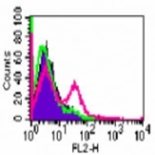 anti-CD4 Molecule (CD4) antibody (PE) avatar