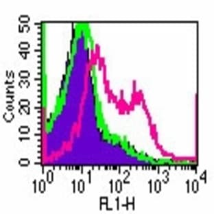 anti-CD4 Molecule (CD4) antibody (FITC) avatar