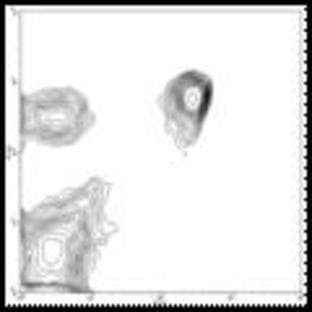 anti-CD4 Molecule (CD4) antibody (FITC) avatar