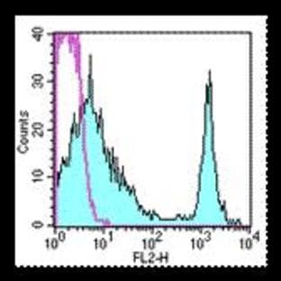 anti-CD4 Molecule (CD4) antibody (PE) avatar