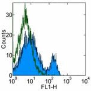 anti-CD4 Molecule (CD4) antibody avatar