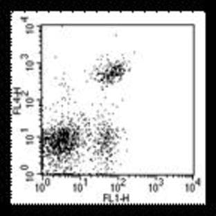 anti-CD4 Molecule (CD4) antibody (APC) avatar