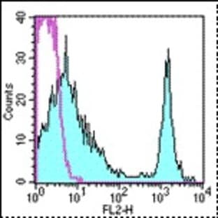 anti-CD4 Molecule (CD4) antibody (PE) avatar