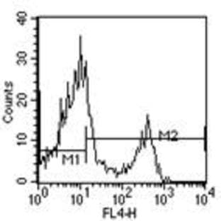 anti-CD4 Molecule (CD4) antibody (Cy5)
