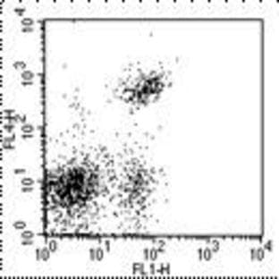 anti-CD4 Molecule (CD4) antibody (APC) avatar