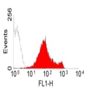 anti-CD44 (CD44) antibody (FITC) avatar