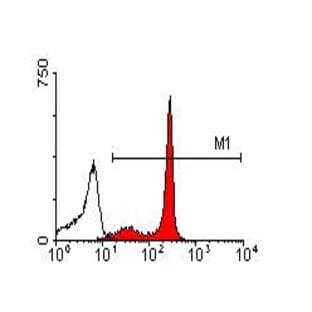 anti-CD44 (CD44) antibody avatar