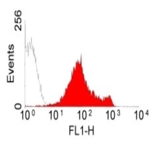 anti-CD44 (CD44) antibody (FITC) avatar