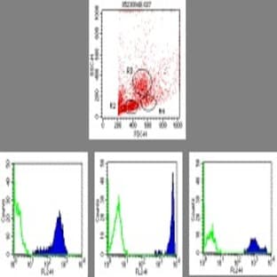 anti-CD44 (CD44) antibody (PE) avatar