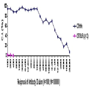 anti-CD5 Molecule (CD5) antibody avatar