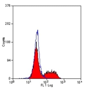 anti-CD5 Molecule (CD5) antibody avatar