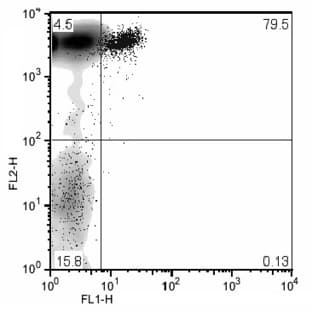 anti-CD72 Molecule (CD72) antibody (FITC) avatar