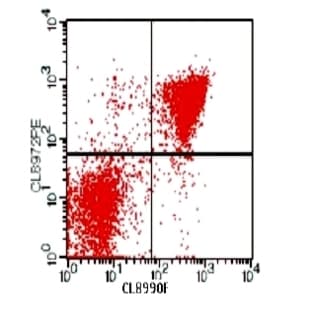 anti-CD72 Molecule (CD72) antibody (PE) avatar