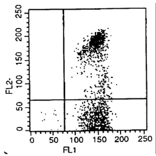 anti-CD72 Molecule (CD72) antibody (FITC) avatar