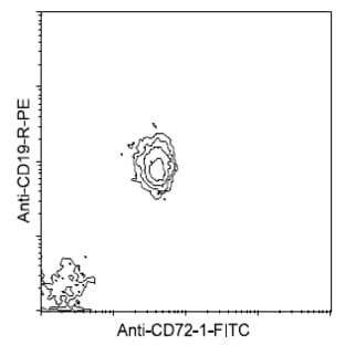 anti-CD72 Molecule (CD72) antibody (FITC) avatar