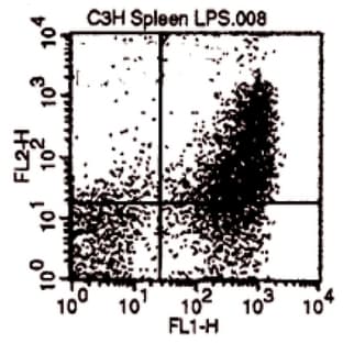 anti-CD80 (CD80) antibody avatar