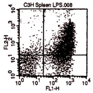 anti-CD80 (CD80) antibody avatar