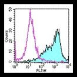anti-CD86 Molecule (CD86) antibody (PE) avatar