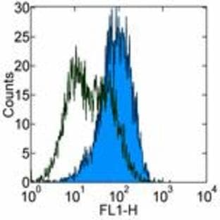 anti-CD86 Molecule (CD86) antibody avatar