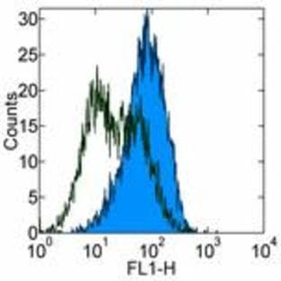 anti-CD86 Molecule (CD86) antibody avatar