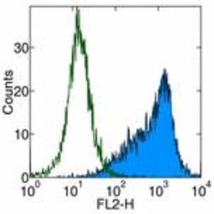 anti-CD86 Molecule (CD86) antibody avatar