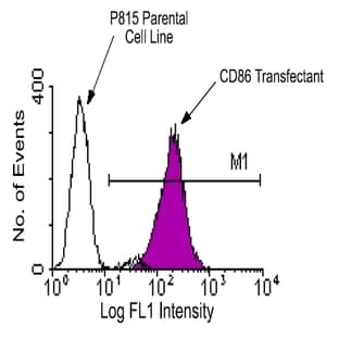 anti-CD86 Molecule (CD86) antibody (FITC) avatar