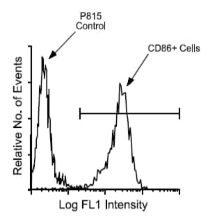 anti-CD86 Molecule (CD86) antibody (FITC) avatar
