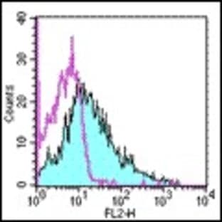 anti-CD86 Molecule (CD86) antibody (PE) avatar