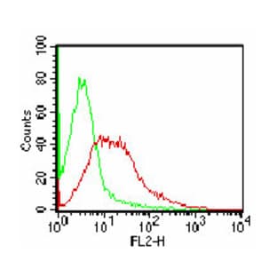 anti-CD86 Molecule (CD86) antibody avatar