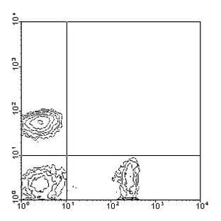 anti-CD8 Antigen, alpha Chain (CD8A) antibody (FITC) avatar