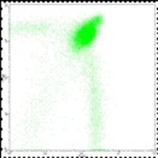 anti-CD8 Antigen, alpha Polypeptide (CD8A) antibody (PE) avatar