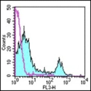 anti-CD8 Antigen, alpha Polypeptide (CD8A) antibody (Cy5,PE) avatar