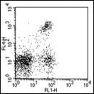 anti-CD8 Antigen, alpha Polypeptide (CD8A) antibody (APC) avatar