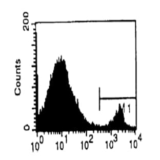 anti-CD8b Molecule (CD8B) antibody (Biotin) avatar
