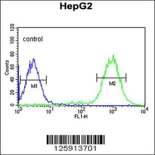 anti-Chromosome 19 Open Reading Frame 21 (C19orf21) (N-Term), (AA 63-91) antibody avatar